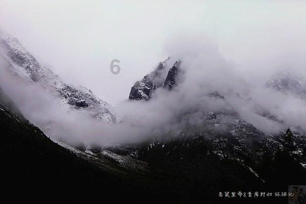 辽宁东北虎队 可能迎来百万级外援 他比暴脾气韦世豪还要叛逆